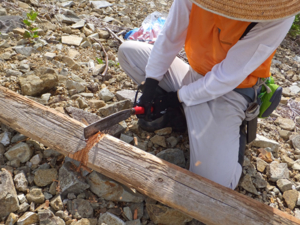 f:id:akagi39:20151014201615j:image