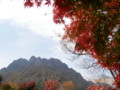 f:id:akaginobushi:20121113115135j:image:medium:left
