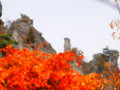 f:id:akaginobushi:20121113121511j:image:medium:right