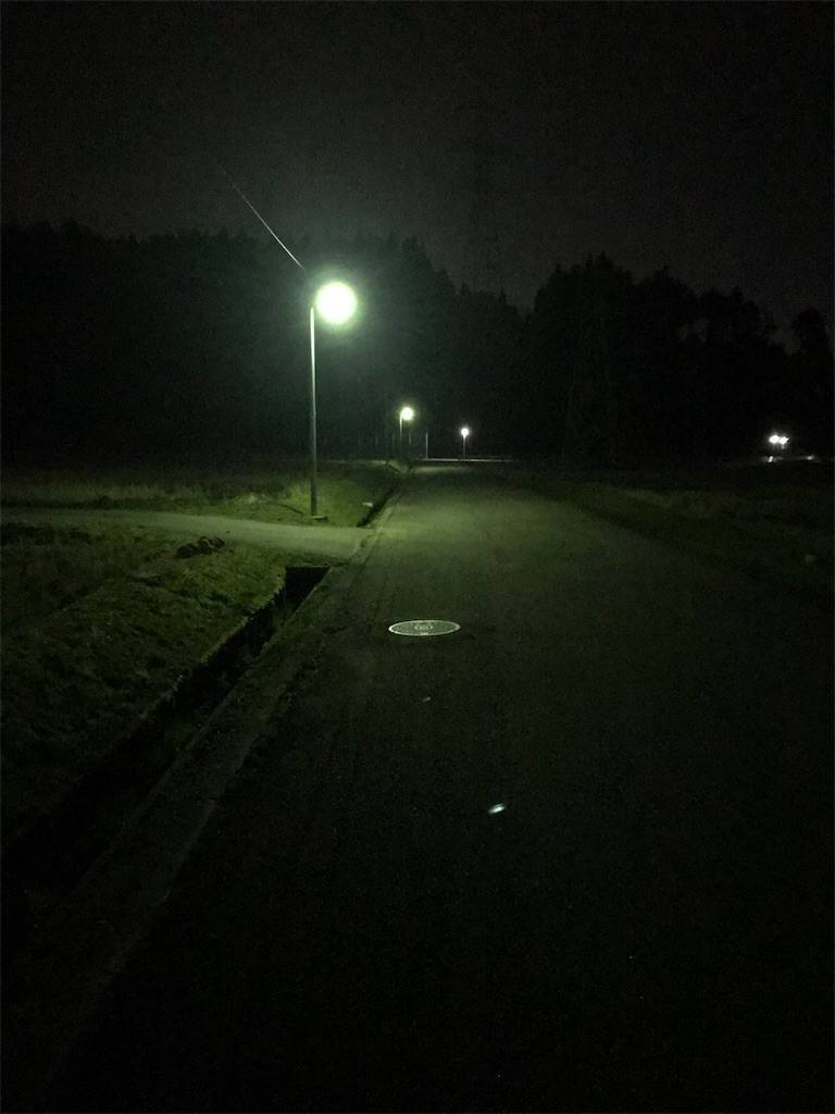 f:id:akahage7777777:20190326212809j:image f:id:akahage7777777:20190326212809j:image