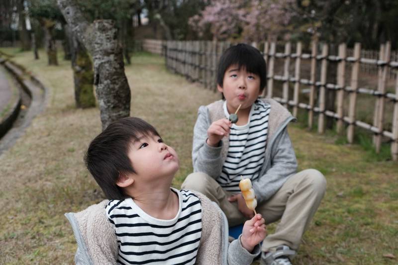 f:id:akahage7777777:20190408214057j:plain f:id:akahage7777777:20190408214057j:plain