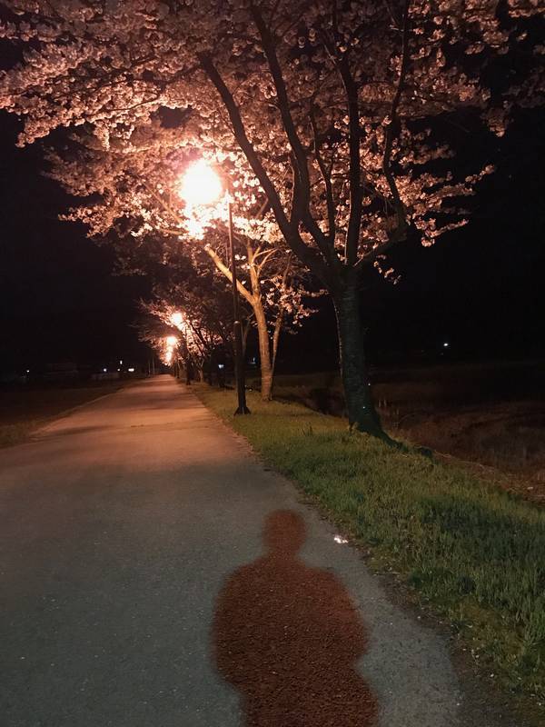 f:id:akahage7777777:20190409222807j:plain