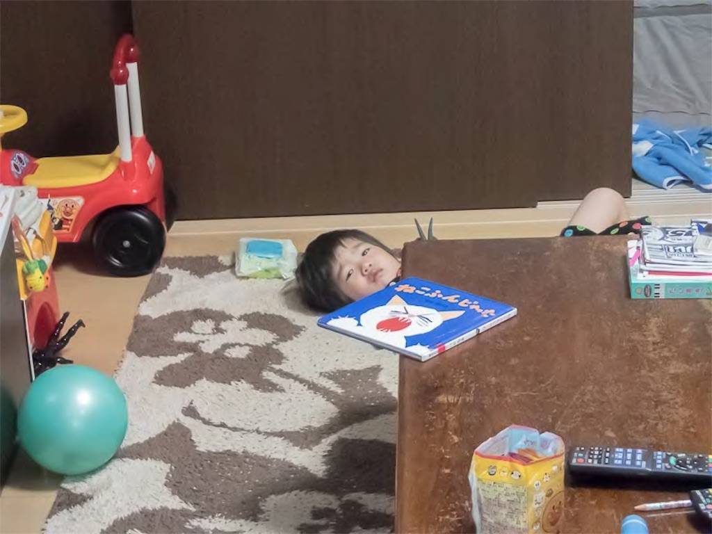 f:id:akahage7777777:20190419194417j:image