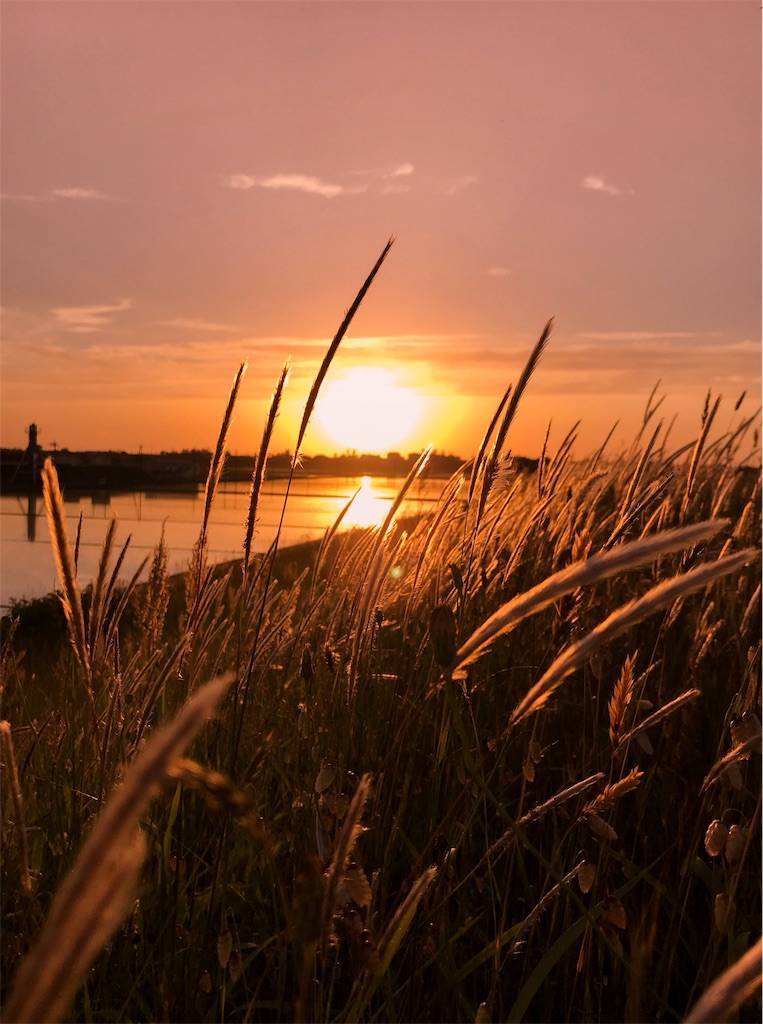 f:id:akahage7777777:20190531150159j:image