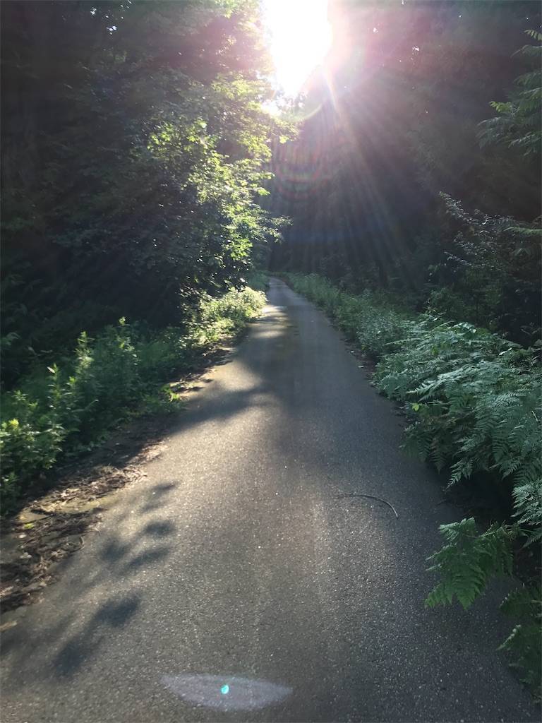 f:id:akahage7777777:20190722201437j:image