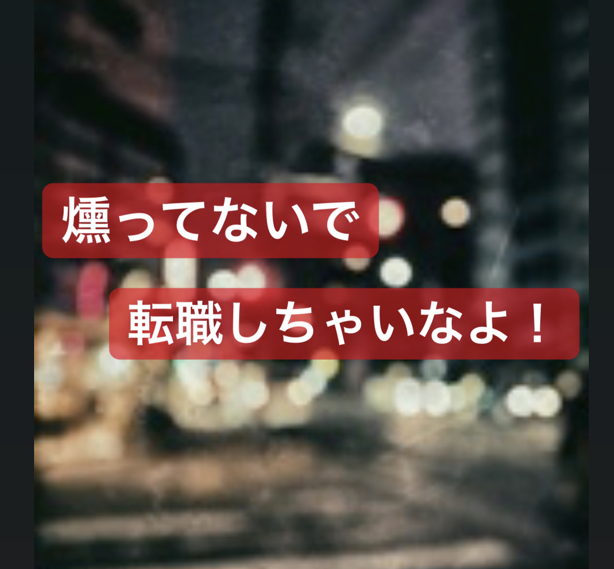 f:id:akaheru-d:20190316212221j:plain f:id:akaheru-d:20190316212221j:plain