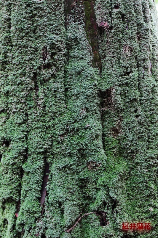 Img_9920_2 Img_9920_2