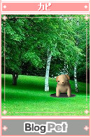 f:id:akaibara:20050828003158j:image