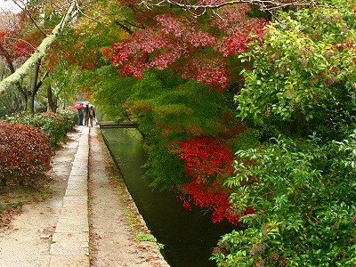 f:id:akaibara:20061220102559j:image