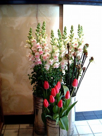 f:id:akaibara:20070201160045j:image