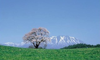 f:id:akaibara:20070821122737j:image