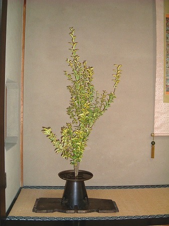 f:id:akaibara:20071126120146j:image