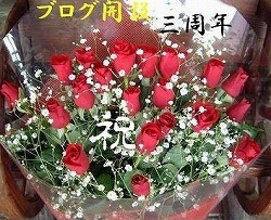 f:id:akaibara:20080104213137j:image