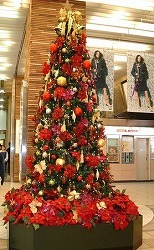 f:id:akaibara:20080104215726j:image