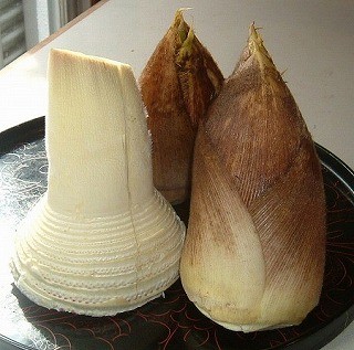 f:id:akaibara:20080330232833j:image