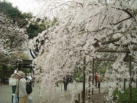 f:id:akaibara:20080403140024j:image f:id:akaibara:20080403140024j:image