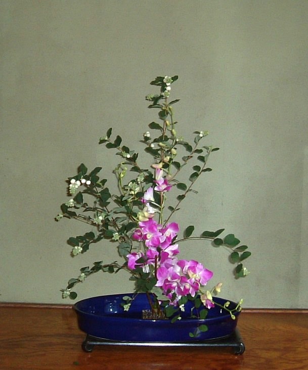 f:id:akaibara:20080904184428j:image:w300