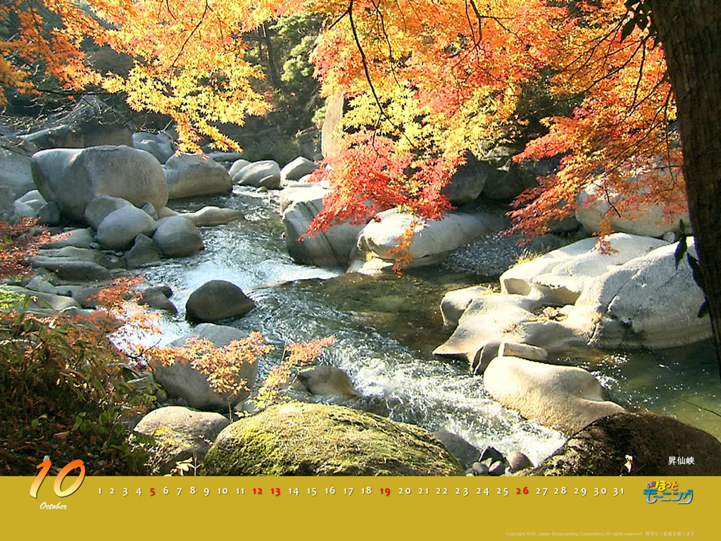 f:id:akaibara:20080929103057j:image:w500