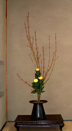 f:id:akaibara:20081011123527j:image:w250