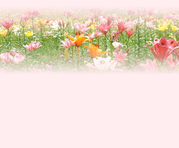 f:id:akaibara:20081117111644j:image:w200