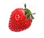 f:id:akaibara:20081118122354j:image