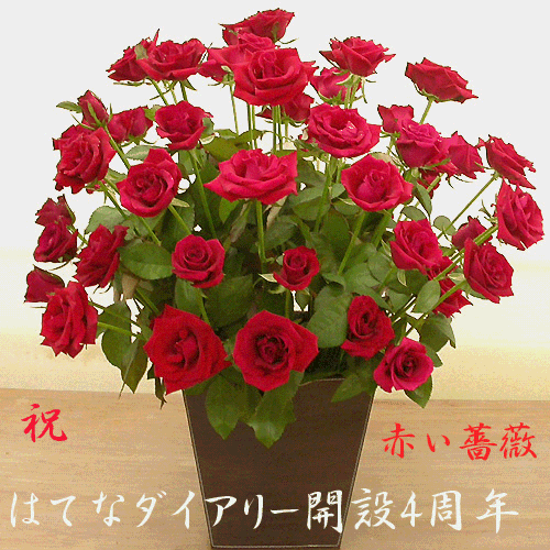 f:id:akaibara:20081118123640g:image