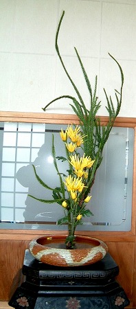 f:id:akaibara:20081129131617j:image