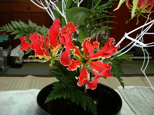 f:id:akaibara:20081219105907j:image