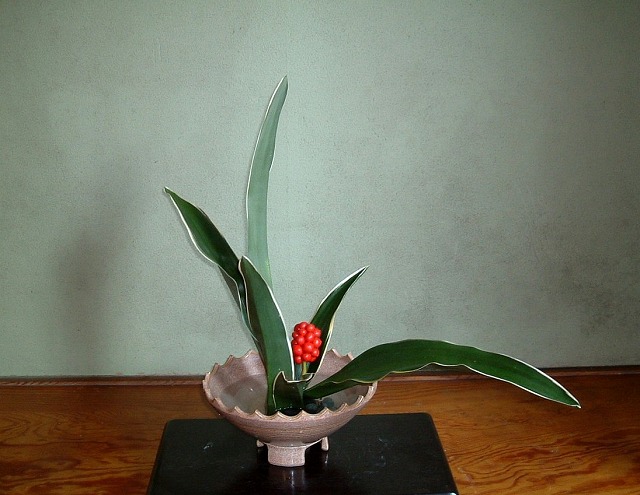 f:id:akaibara:20081230151458j:image:w450