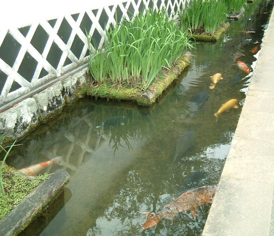 f:id:akaibara:20090506160325j:image:w300