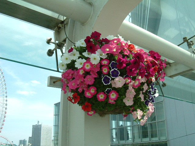 f:id:akaibara:20090602182105j:image:w450