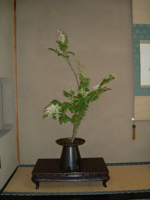 f:id:akaibara:20090612224916j:image:w400