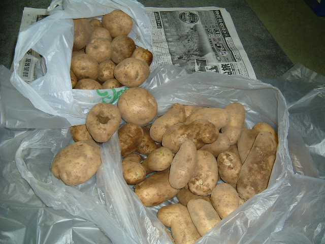 f:id:akaibara:20090620225934j:image:w300