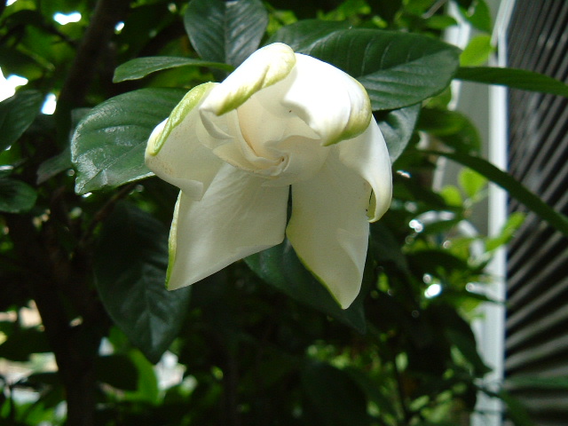 f:id:akaibara:20090625122240j:image:w400 f:id:akaibara:20090625122240j:image:w400