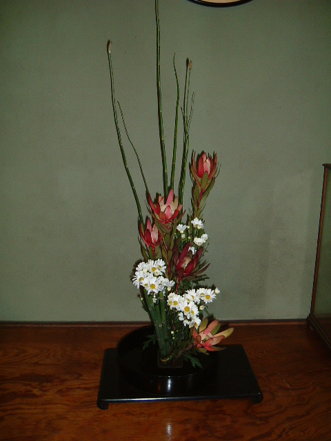 f:id:akaibara:20090702152116j:image:w400