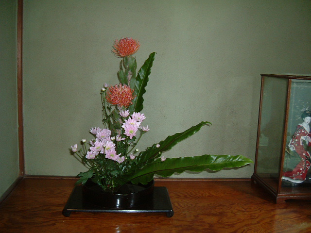 f:id:akaibara:20090709140536j:image:w500
