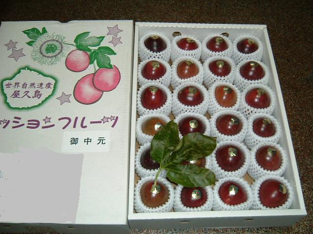 f:id:akaibara:20090710130312j:image:w400