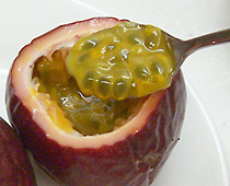 f:id:akaibara:20090710133246j:image