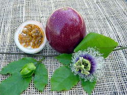 f:id:akaibara:20090710134419j:image