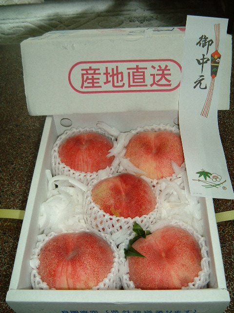 f:id:akaibara:20090711142850j:image:w450