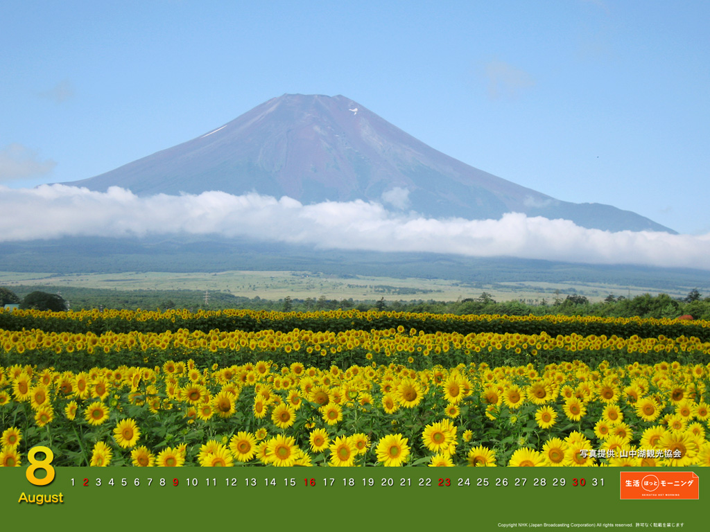 f:id:akaibara:20090713134507j:image:w400