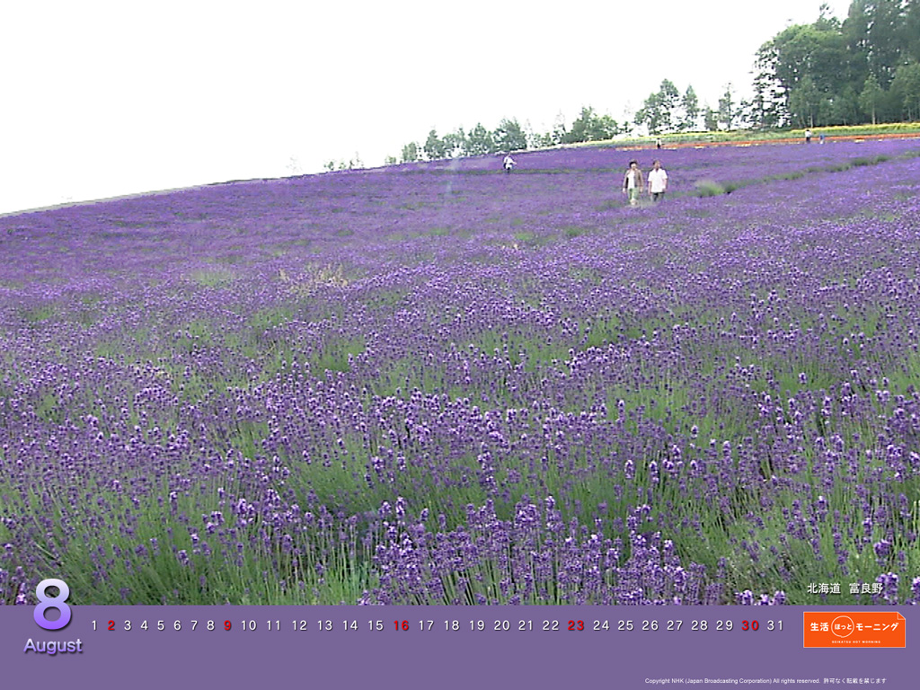 f:id:akaibara:20090727102656j:image:w450