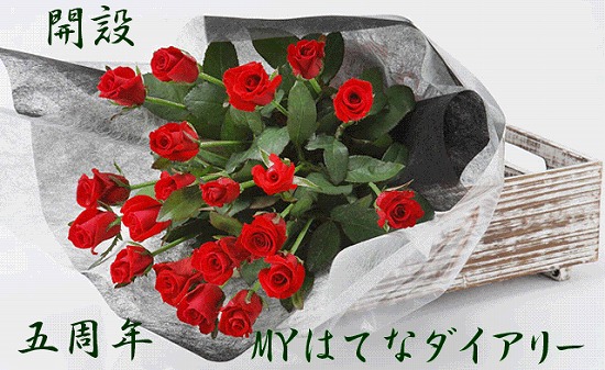 f:id:akaibara:20091119174336j:image