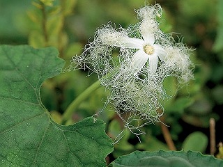 f:id:akaibara:20091124142922j:image