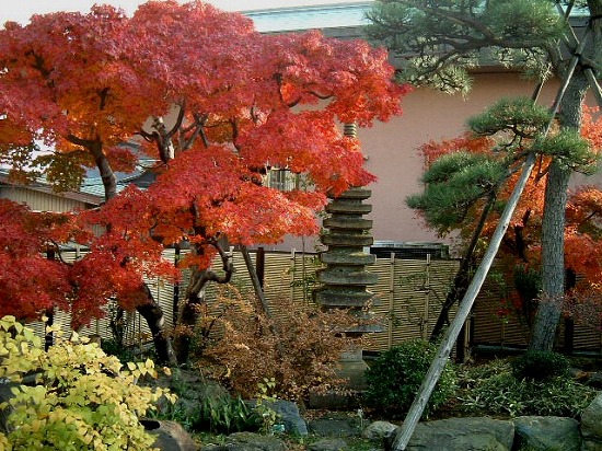 f:id:akaibara:20091127175807j:image f:id:akaibara:20091127175807j:image