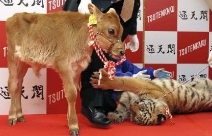 f:id:akaibara:20091228235413j:image