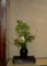 20091229185321