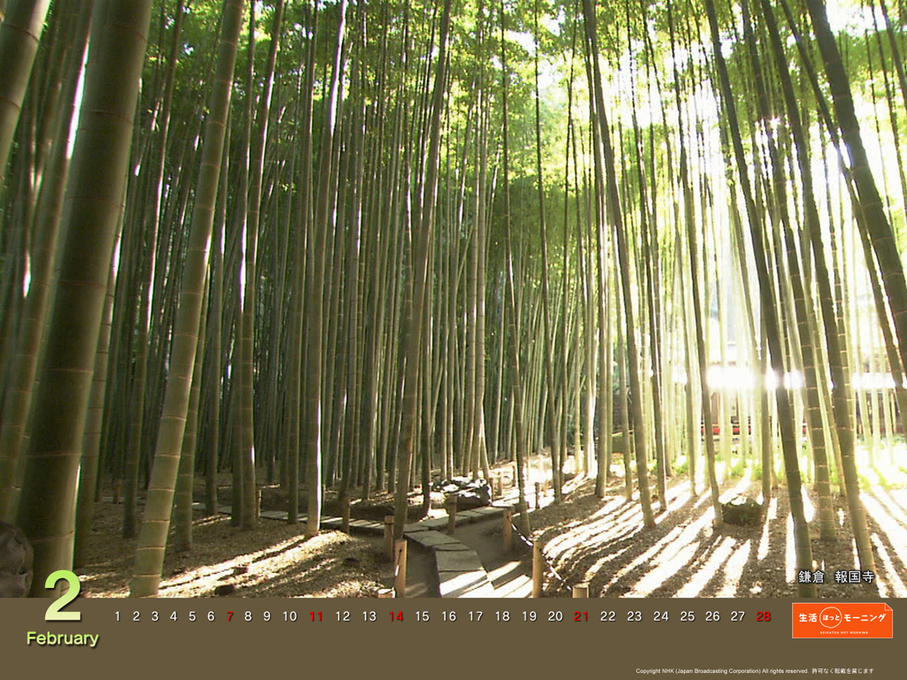 f:id:akaibara:20100118142036j:image:w450