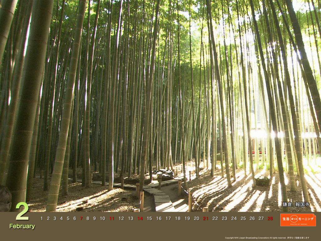 f:id:akaibara:20100118142137j:image:w200