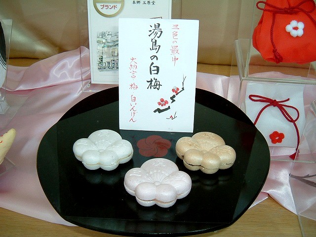 f:id:akaibara:20100127220828j:image:w450